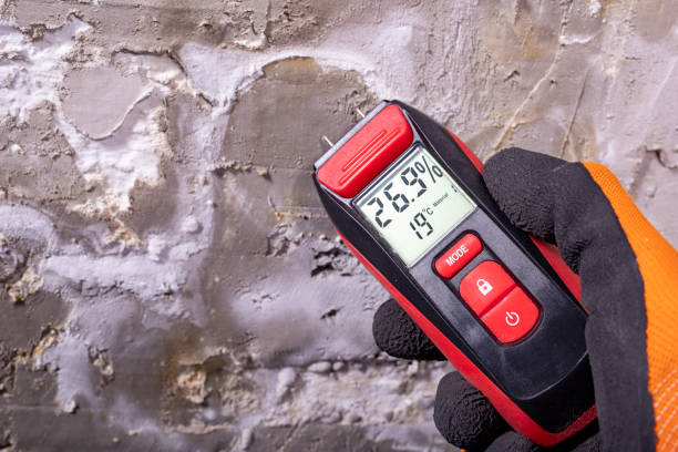 Best Mold Remediation  in Grill, PA