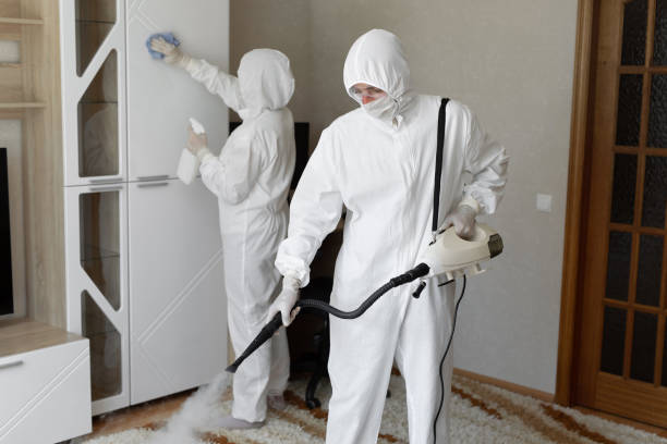 Best Certified Mold Removal  in Grill, PA