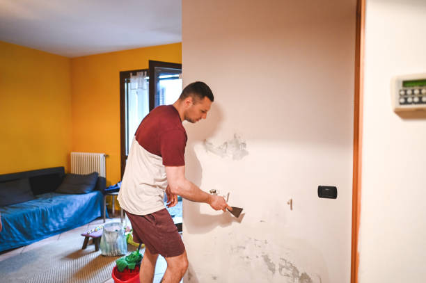 Best Mold Removal Near Me  in Grill, PA