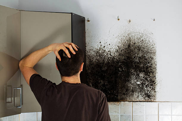 Best Crawl Space Mold Removal  in Grill, PA